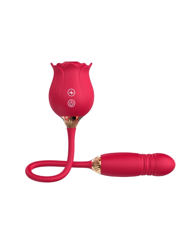 Censan ileri geri hareketli Vibratör ve Gül vakum